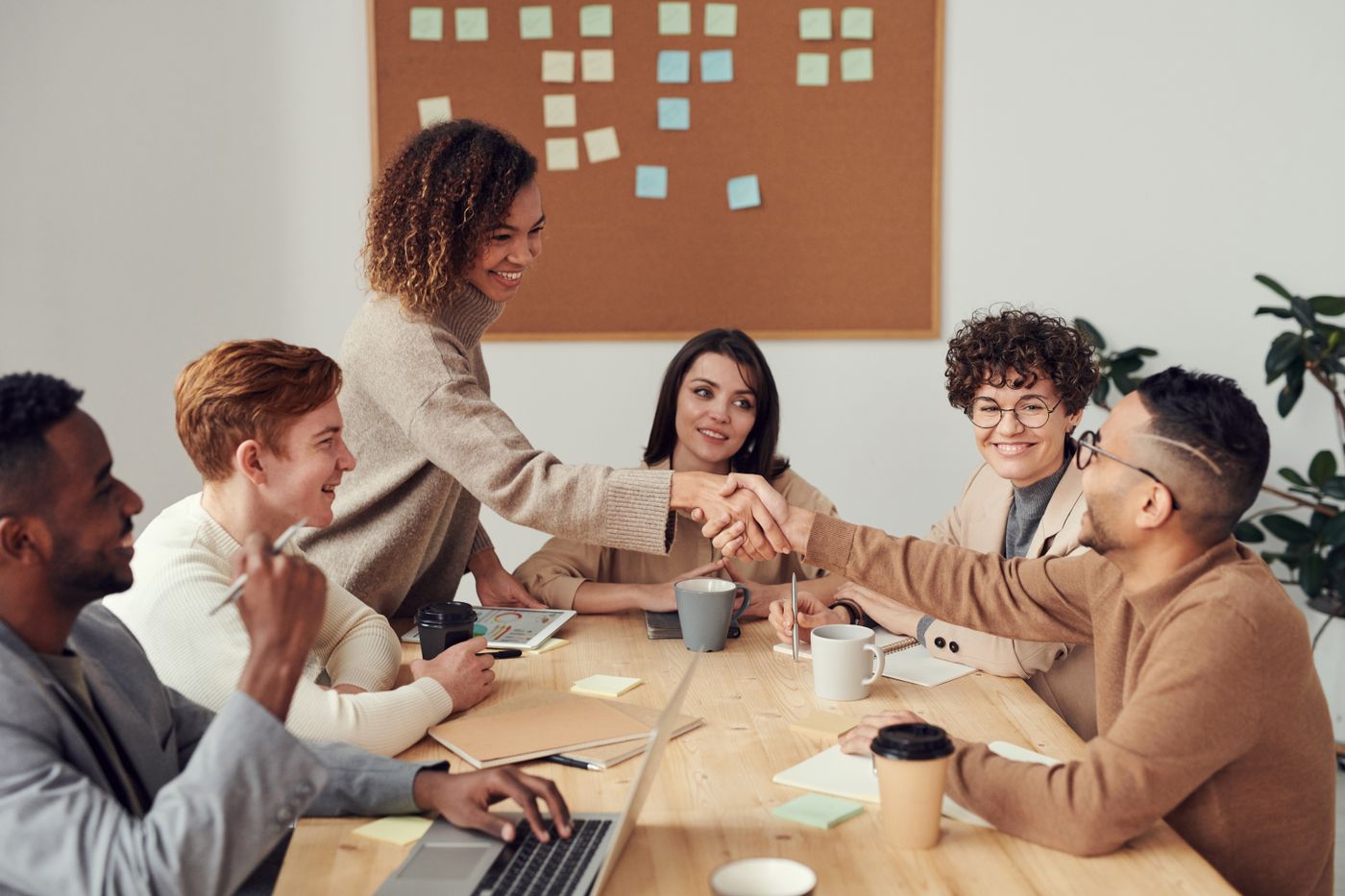 Trade Consulting